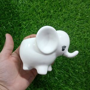 Mini Elephant....