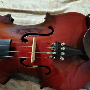 Violin