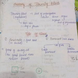 Class 11th Botany Pw Handwritten Notes