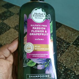 Shampoo