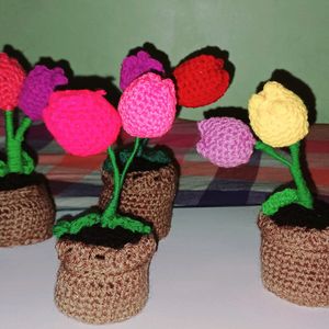 Small Tulips Flower Pots