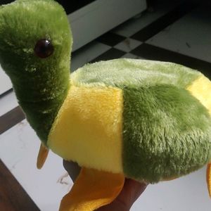New Turtle Soft Toys