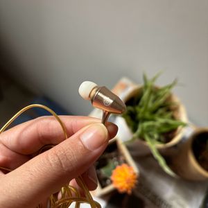 Earphones in great condition, work perfectly well!