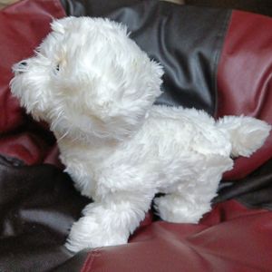 Ultra Soft Premium Quality Dog Plushie