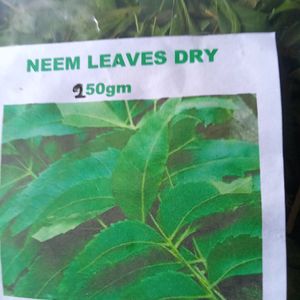 Neem Leaves Dry