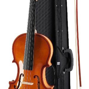 Beautiful New Violin Available