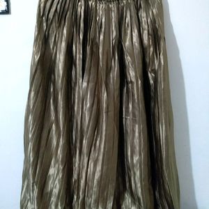 Long Skirt Ethnic Wear