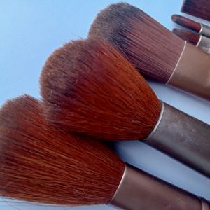 A set Of 10 Makeup Brushes