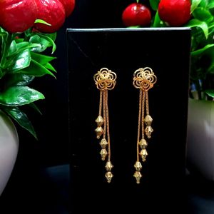 1GM GOLD POLISHED BEAUTIFUL EARRINGS Pack Of 1