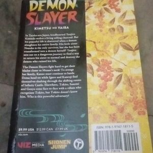 Demon Slayer Manga Volume 19 English Paperback Com