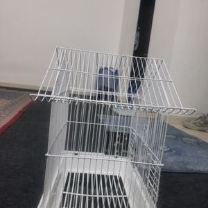 Birds Cage