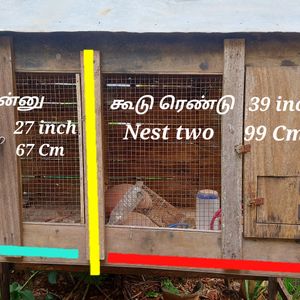 2 In 1 Bird Nest இரண்டு குருவிக்கூடுகள்