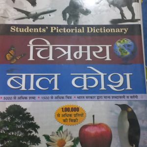 Hindi Dictionary Brand New