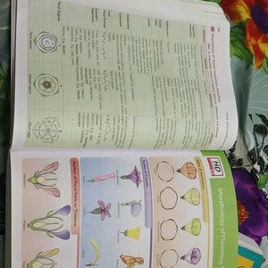 Combo Of MTG NCERT FINGERTIPS BIOLOGY & CHEMISTRY