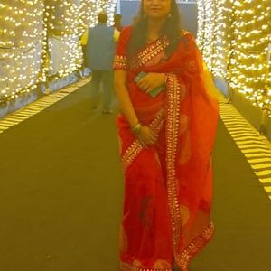 Red Organza Saree