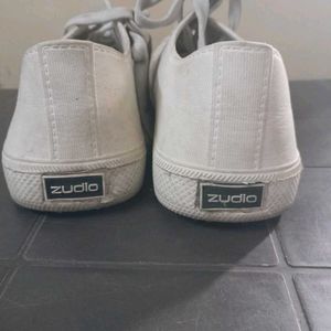 Zudio Casual Canvas Sneakers