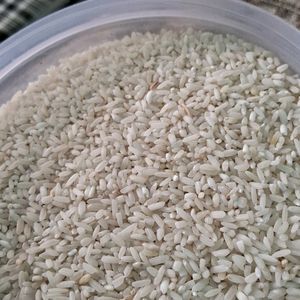 Rice 🌾 10 K