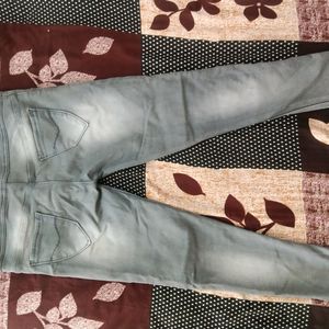 Cute Grey Kitten Jeans