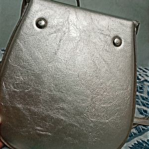 Classy Shiny Slingbag