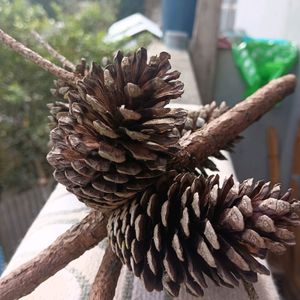 Christmas Tree Pine Cone