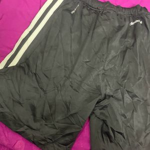 Addidas Gym Shorts