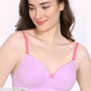 Zivame BRANDED BRA 32 B