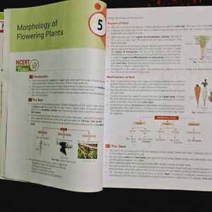 Ncert At Your Fingertips Biology ( Edition =2022)