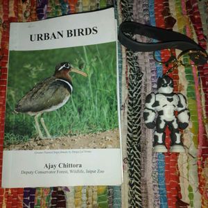 Urban bird book and a robot keychain