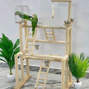 Parrot Playing Stand & Activities This Amazing Kit