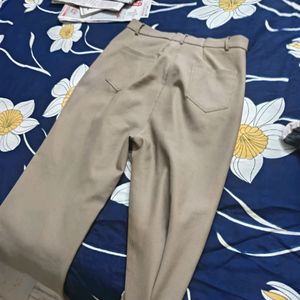 Brown Beautiful Color Pant