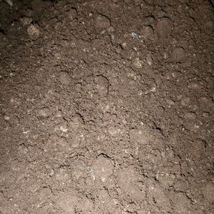 Home Made Compost For Plants