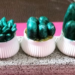 Miniature Art Catcus Plant Clay Model