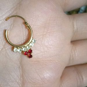 2 Different Types Nose Rings