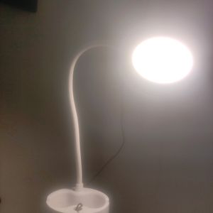 Study Lamp