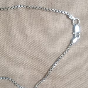 Pure Silver Long Chain