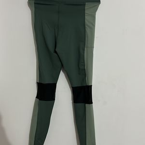 Amazon Mesh Detail Leggings (Green Combination)