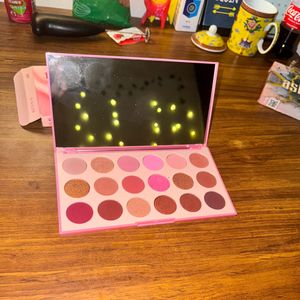 Original Morphe Pink Nude Palette (Never Used)