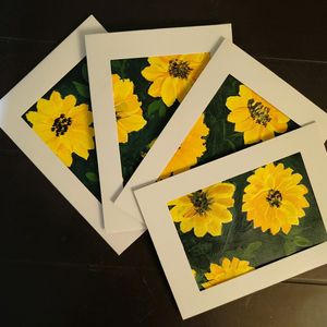 Sunflowers In A Frame : Set Of 4