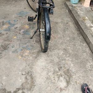 Spring Cycle For Sale