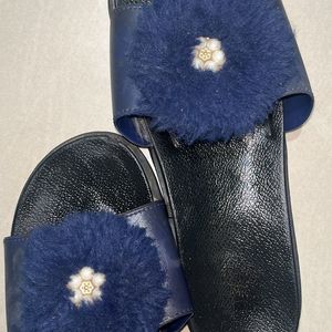 Blue Slippers