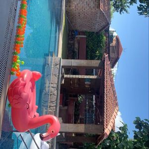 Generic flamingo Combo ( Inflatable Pool Float)