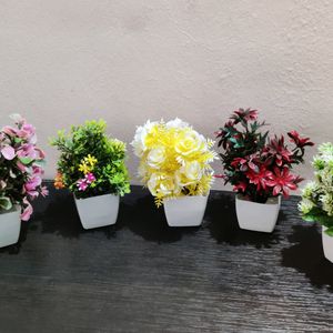 Colour Full Artificial Plants