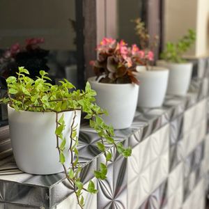 Small Plant Pots Container For Home Decor Balcony.