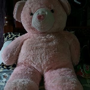 Pink Big Teddy 🫰