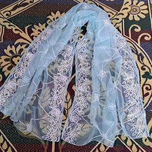 Beautiful Organza Dupatta