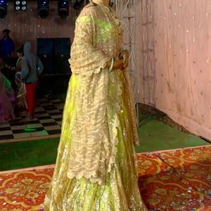 Parrot Green Lehenga