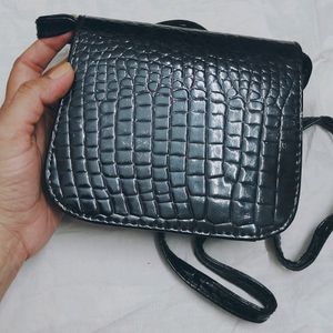 A Small Sized Side Purse