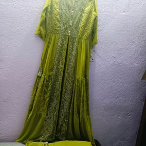 Beautiful Parrot Green Nayra Palazzo Set