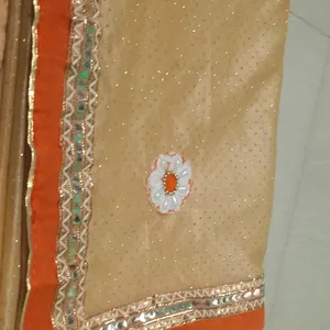 Gold Netted Saree