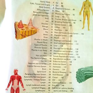 Encyclopedia Of Human Body (Rare To Find)